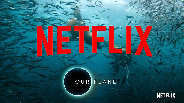 Netflix - Our Planet